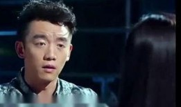 郑凯爆料刘诗诗视频大全,视频大全揭秘