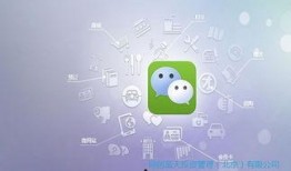 微信那点事在线观看,在线观看背后的精彩瞬间