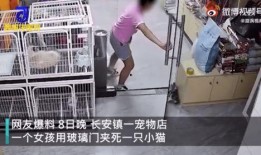 网友爆料宠物店视频,视频揭露残酷真相