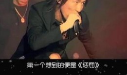 惩罚在线观看,揭秘网络世界的正义与复仇