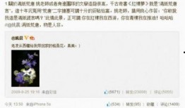 长沙婚外情爆料最新消息,神秘事件引发社会热议，真相即将揭晓