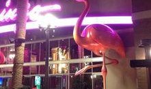 美国电影院爆料视频播放,独家爆料视频带你领略幕后精彩瞬间