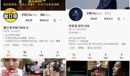 小胖爆料删除视频,删除视频背后的真相揭秘
