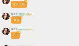 娱乐圈吃瓜的目录,揭秘明星幕后故事，热点事件大盘点